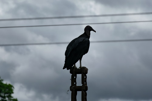 Costa Rica - May 2023